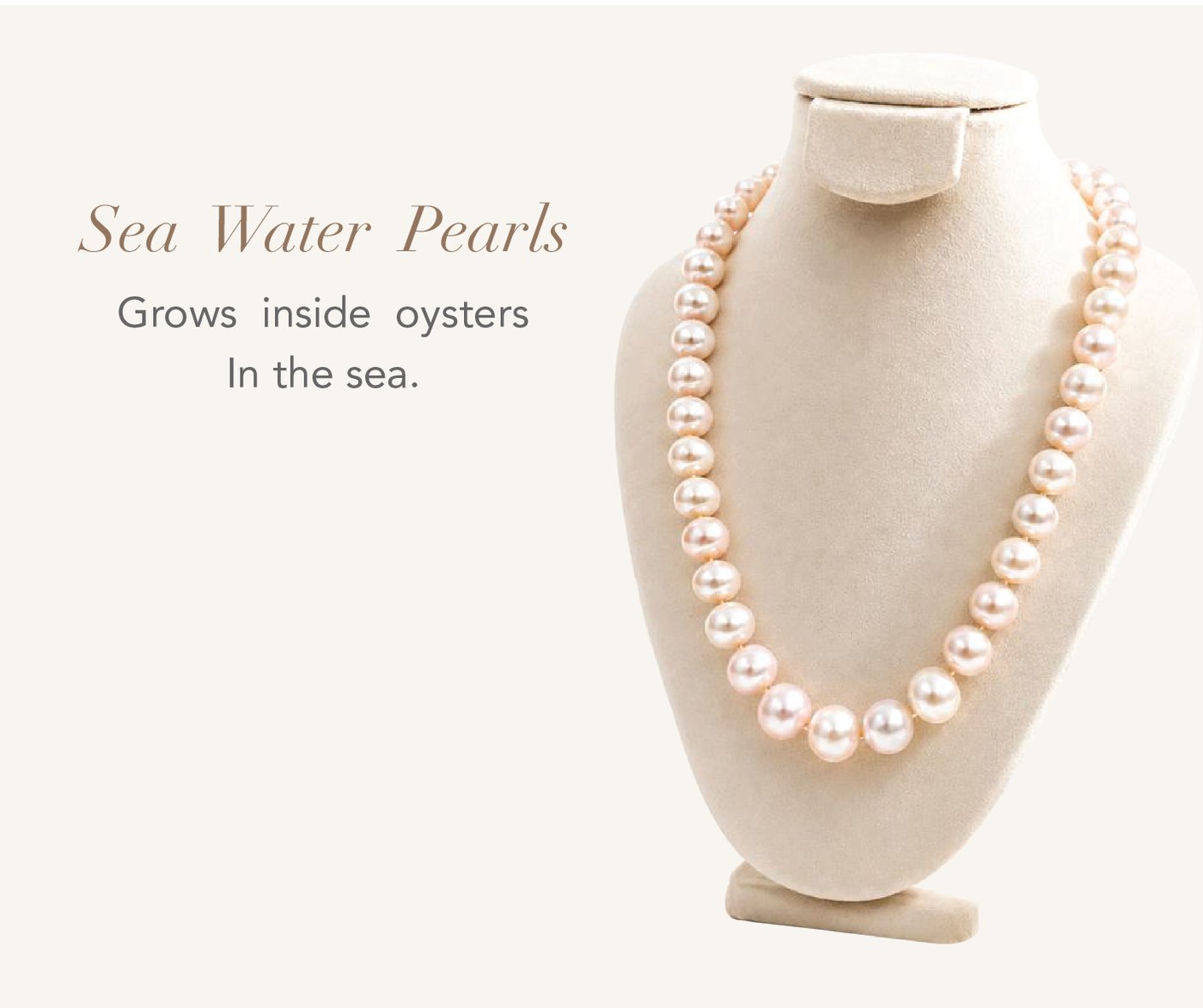 Sea Water Pearl Necklace